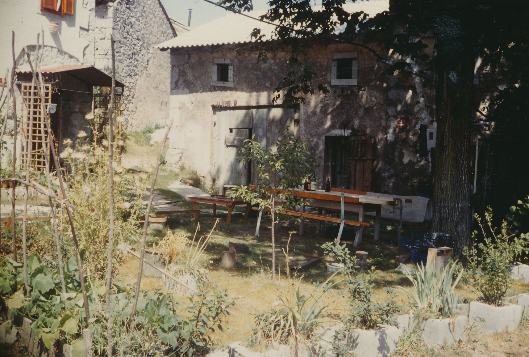 eika image